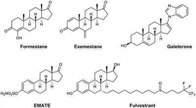 Steroidal Pyrimidines and Dihydrotriazines as Novel Classes of <mark class="highlighted">Anticancer Agents</mark> against Hormone-Dependent Breast Cancer Cells